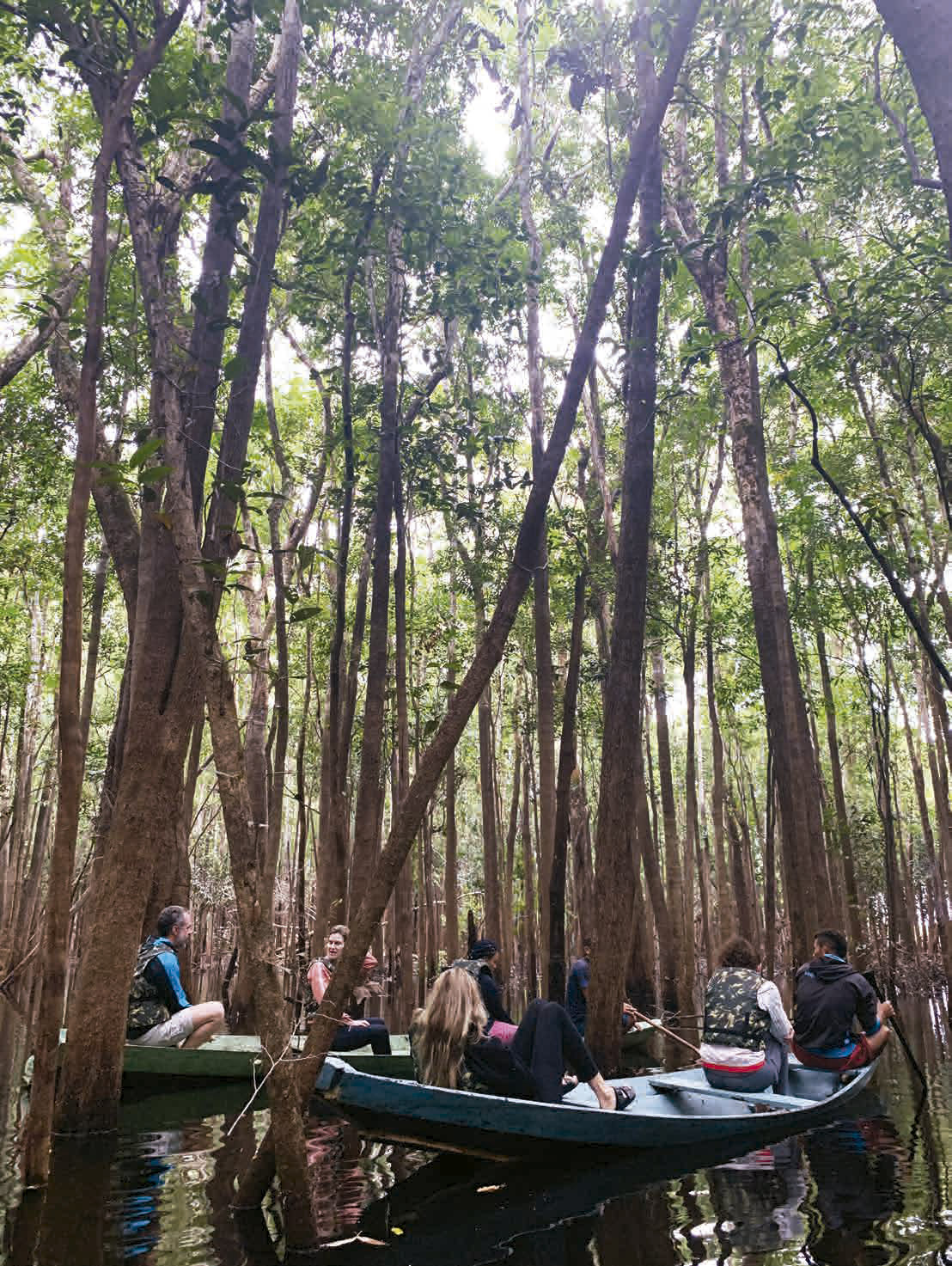 Passeio de canoa pelos igapós - Foto: Divulgação