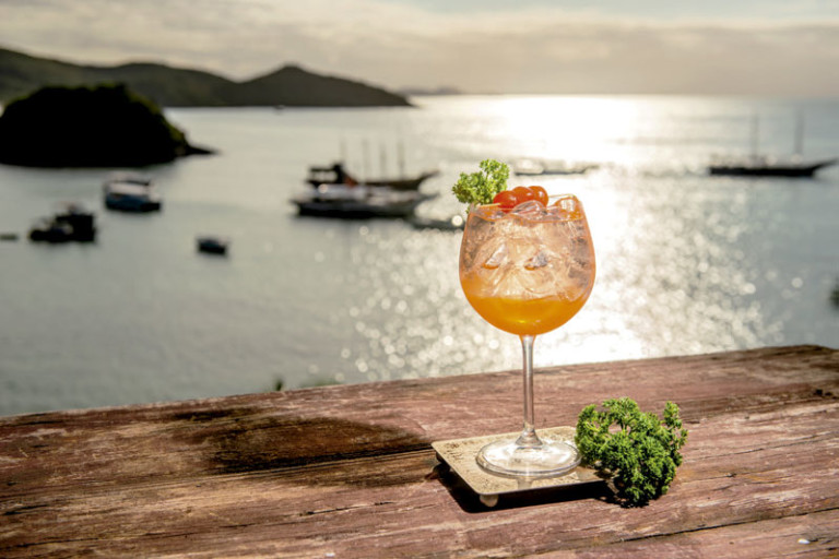 Gin tônica de tangerina, gengibre e hibisco - Foto: Divulgação