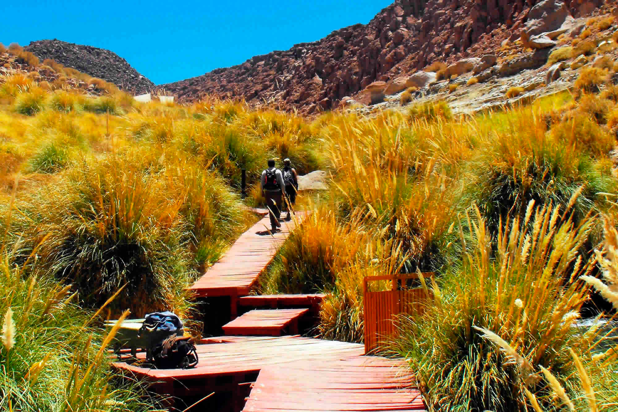 Caminho de madeira para as Termas de Puritama - Foto: Divulgação