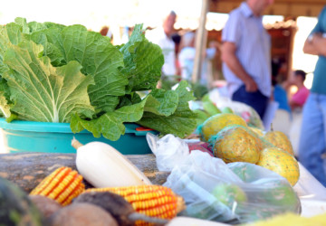 Capa-Sustentabilidade