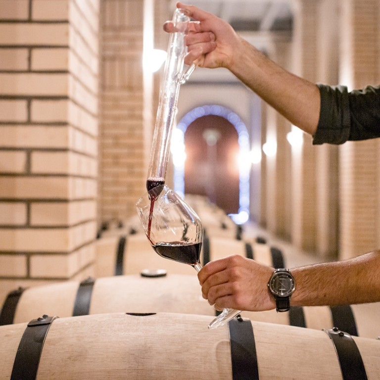 Igor Zahir – Enoturismo é cada vez mais essencial para os vinhos brasileiros