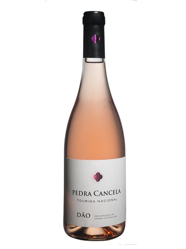 Igor Zahir – Em busca do rosé perfeito