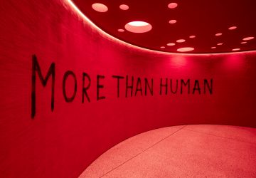 Paisagem: More than Human