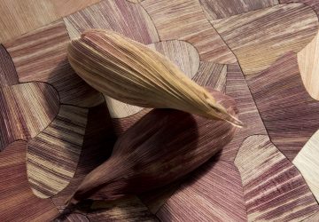 Cultura: mesa Fernando Laposse