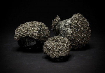 Nicole & Luiza Toldi